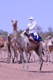 Cammelliere nel Deserto del Ciad